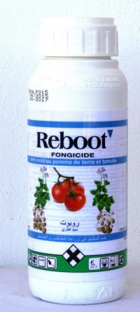 REBOOT