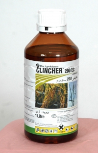 CLINCHER